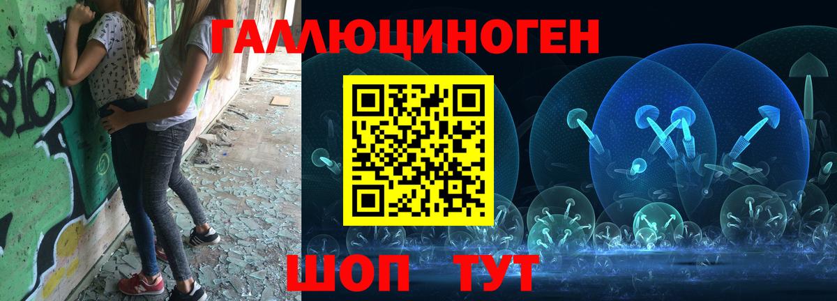 Псилоцибиновые грибы Psilocybine cubensis Крымск